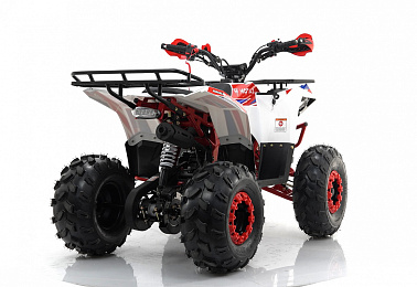 Квадроцикл MOTAX GRIZLIK A125