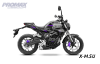 Мотоцикл PROMAX CB300