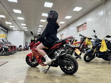 Мотоцикл PROMAX STRYKER 200(49)