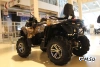 Квадроцикл Stels ATV 800 GUEPARD TROPHY EPS CVTech 2.0
